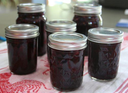 Blueberry and Rhubarb Jam Recipe