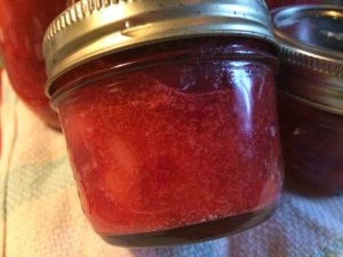 Dogberry Jelly Recipe