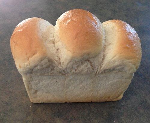 Newfoundland White Bread Recipe